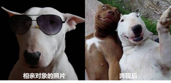 只要P圖技術(shù)好，相親對象跑得早