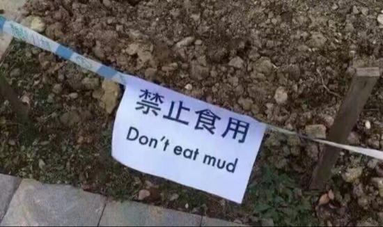 沒有困難的雙十一，只有不努力做題的打工人