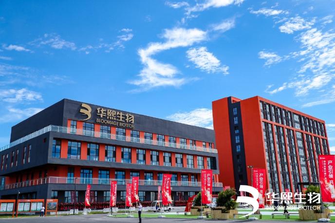 小分子大生意 透明質酸鈉入食開辟新藍海