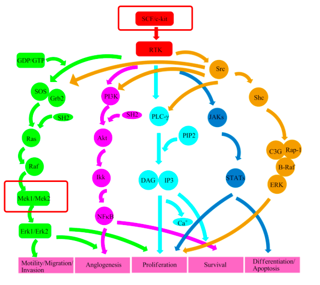 1636705766922687.png 2.png