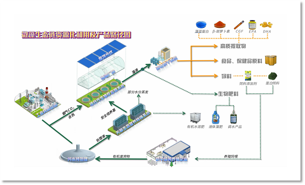 江蘇藻鏈生態科技公司引領微藻產業革命，資本市場投資價值凸顯