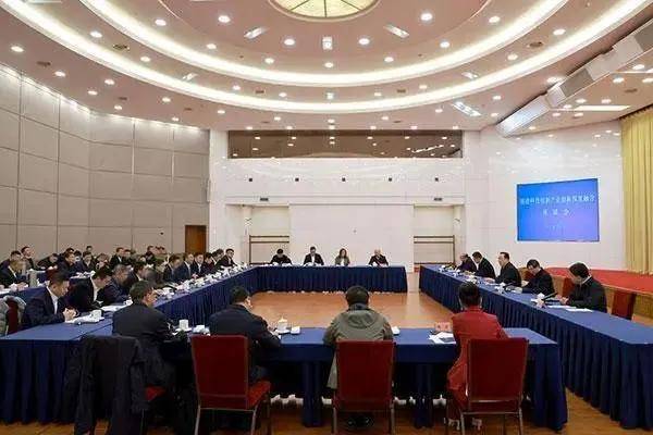 火出圈的“杭州六小龍”，成浙江省委書記的座上賓