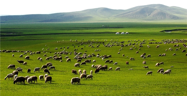 在家也能“草原涮肉”！順豐從智慧冷鏈到倉配服務，樹立鮮肉供應鏈新標桿